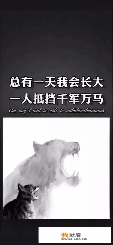 喜欢看特工电影的人都是什么心理啊? 喜欢看特工电影的人都是什么心理啊?