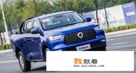 长城炮商用炮落地价？