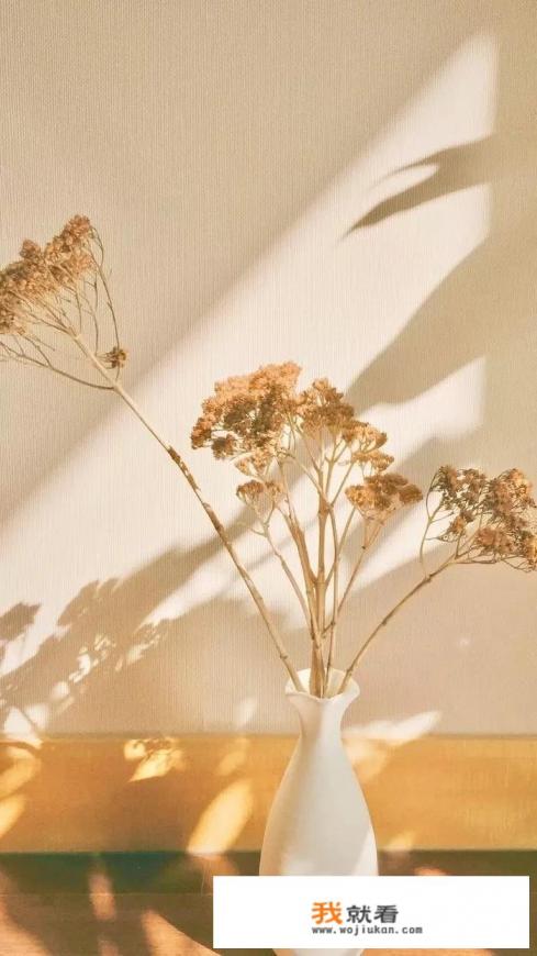 吉普进口自由光能改装加高吗? 吉普进口自由光能改装加高吗?