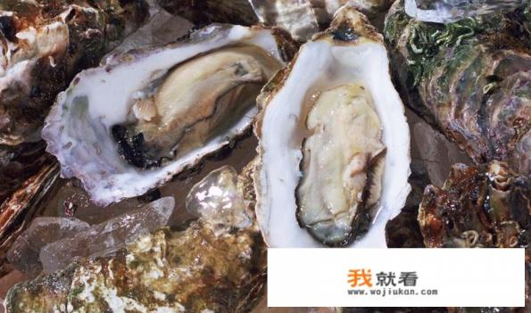 牡蛎和生蚝是一种东西吗? 牡蛎和生蚝是一种东西吗?