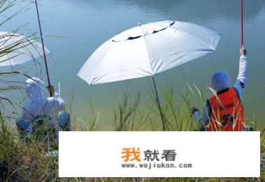 化氏4号和6号适合配速攻吗? 化氏4号和6号适合配速攻吗?