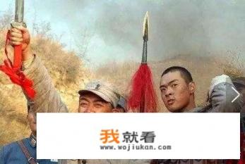 雪豹原型? 雪豹原型?