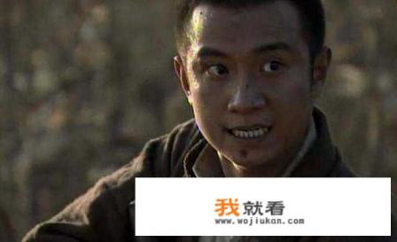 雪豹原型? 雪豹原型?