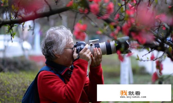 为何手机摄影已成大众文化潮流,却总被艺术殿堂拒之门外? 为何手机摄影已成大众文化潮流,却总被艺术殿堂拒之门外?