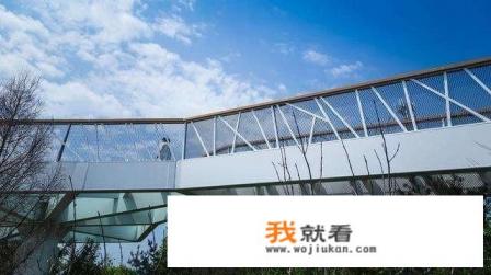 想带父母和4岁的孩子去长白山游玩,报团还是坐车去更合适? 想带父母和4岁的孩子去长白山游玩,报团还是坐车去更合适?