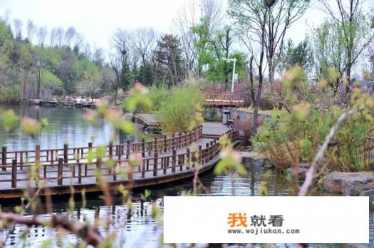 想带父母和4岁的孩子去长白山游玩,报团还是坐车去更合适? 想带父母和4岁的孩子去长白山游玩,报团还是坐车去更合适?