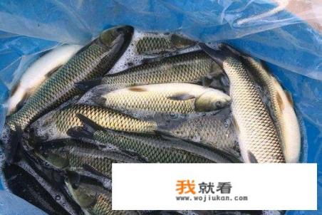 重庆江湖菜是什么意思? 重庆江湖菜是什么意思?