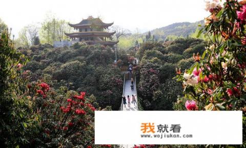 想从四川宜宾开车去丽江自驾游,中间有什么好玩的地方吗? 想从四川宜宾开车去丽江自驾游,中间有什么好玩的地方吗?