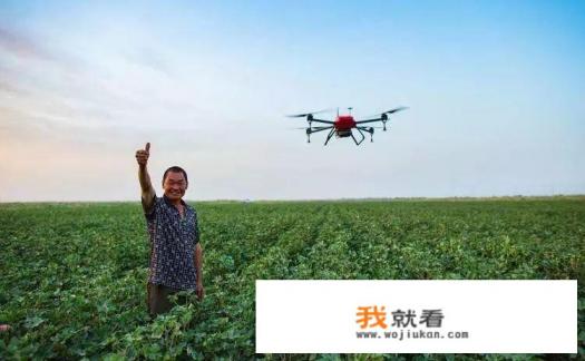 农村公共空间治理范围是哪些? 农村公共空间治理范围是哪些?