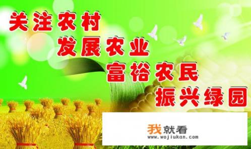 农村公共空间治理范围是哪些? 农村公共空间治理范围是哪些?