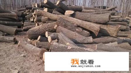 香椿木有什么价值? 香椿木有什么价值?