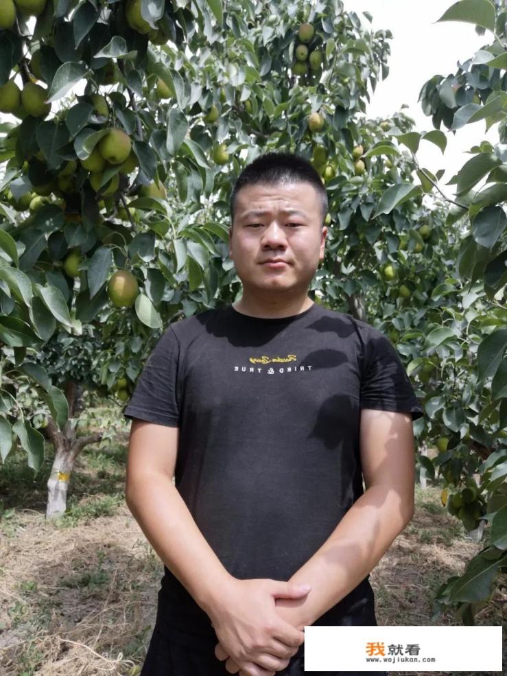 香梨都有哪些功效？在栽培的过程当中，应该怎样来进行施肥？