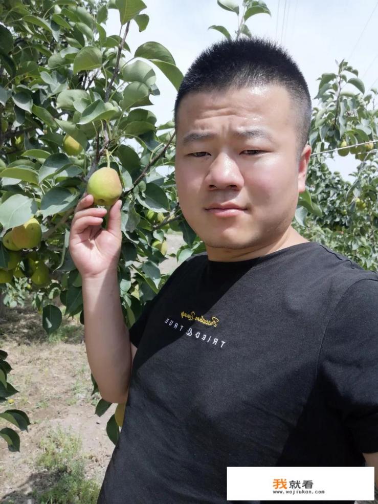 香梨都有哪些功效？在栽培的过程当中，应该怎样来进行施肥？