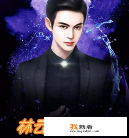 顶级神豪中林云最终的境界是什么？