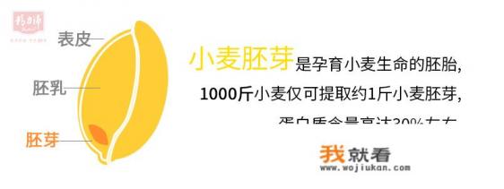 小麦胚芽粉的正确吃法？