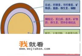 小麦胚芽粉的正确吃法？