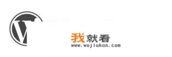 wordpress是什么？博客用的最多，企业网以后它来做长远看是否行得通？
