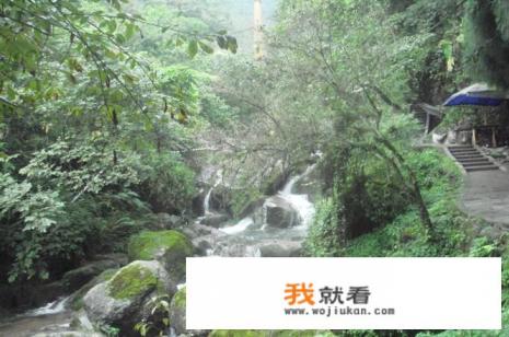 成都出发去青城山和都江堰游玩，一天时间够吗？有什么推荐的景点？