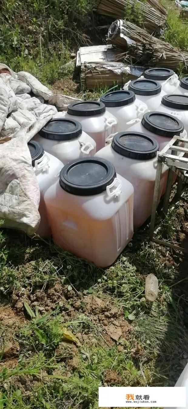 什么牌子的蜂蜜最好最纯正? 什么牌子的蜂蜜最好最纯正?