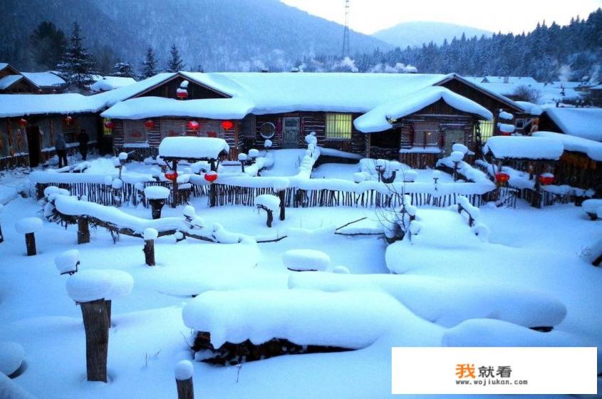 一家三口自助游，想去雪乡或迪士尼，打算玩三天，哪个性价比更高？