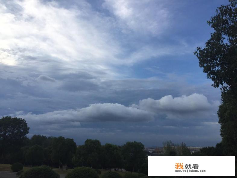 烘焙师和西点师的区别，西点师有前景吗？