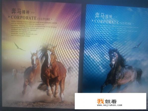 2019世界马文化论坛29日在呼和浩特举办, 你怎么看？