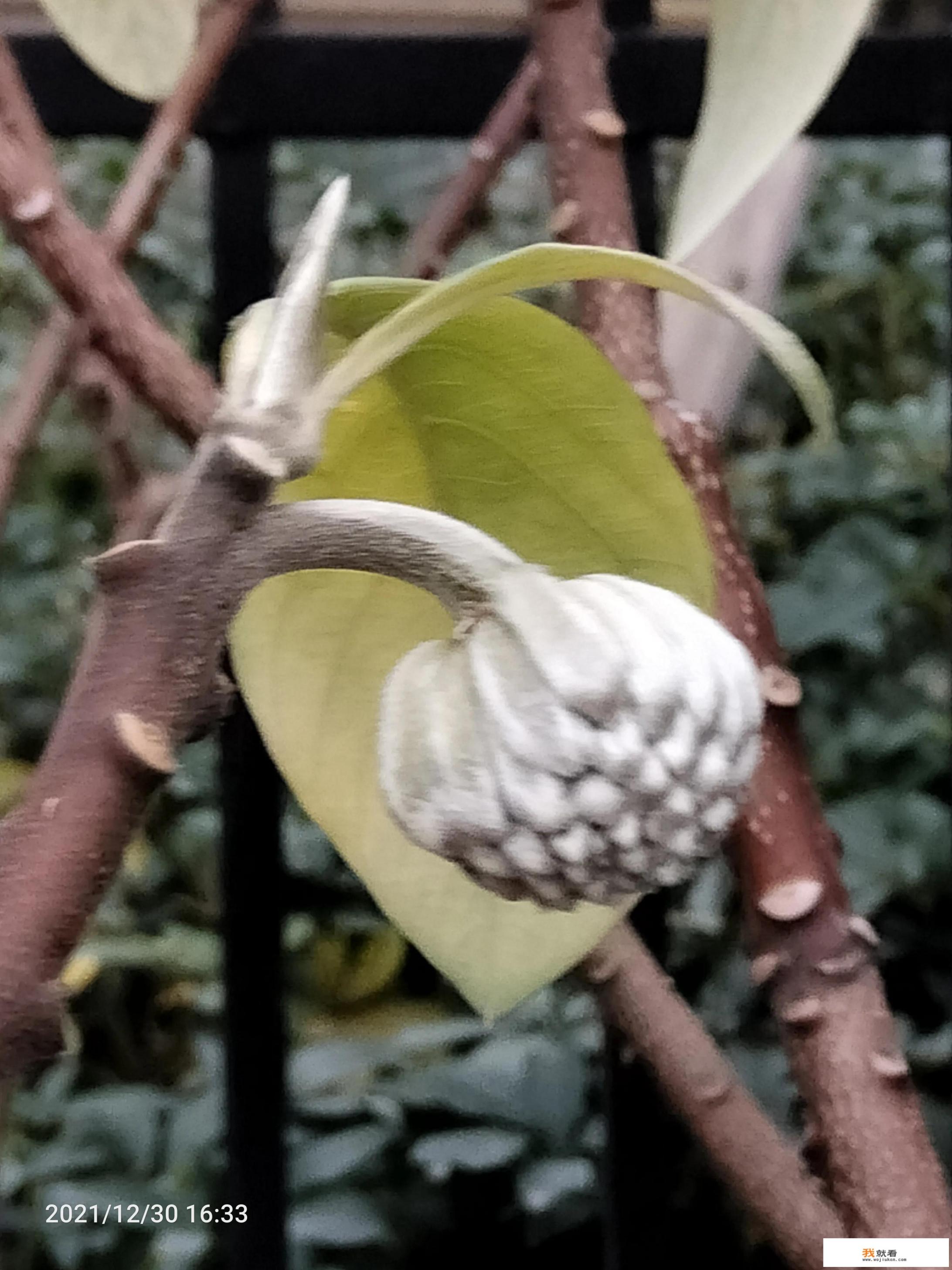 五笔打字,那些人真的有那么快吗? 五笔打字,那些人真的有那么快吗?