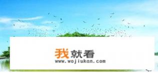 新会公园景区景点？