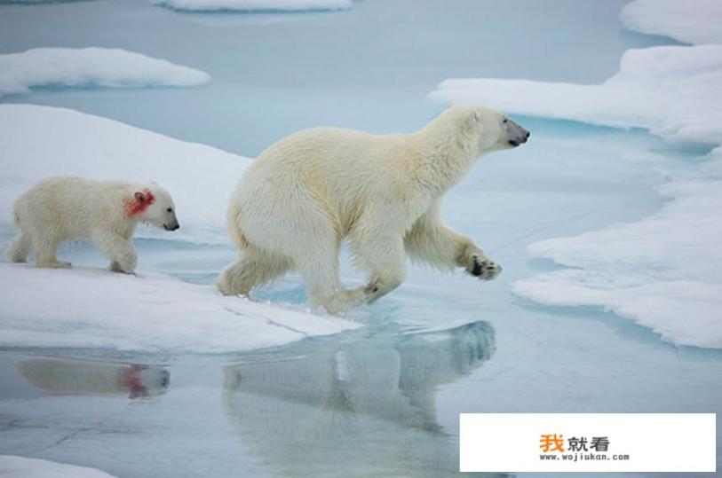 雅鲁藏布江，最终流向那里？