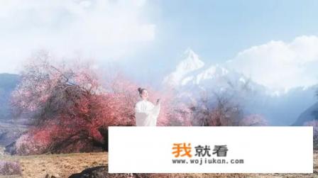 八月十五夜的解释? 八月十五夜的解释?