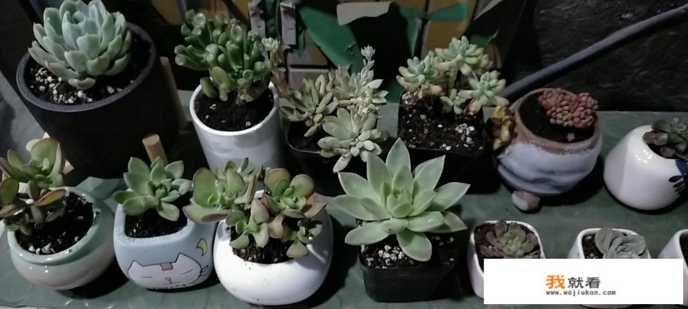 充电宝需要把充电宝充到0再充满电循环3次吗? 充电宝需要把充电宝充到0再充满电循环3次吗?