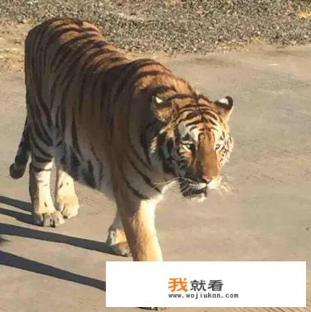 汽车蓄电池多久换一次? 汽车蓄电池多久换一次?