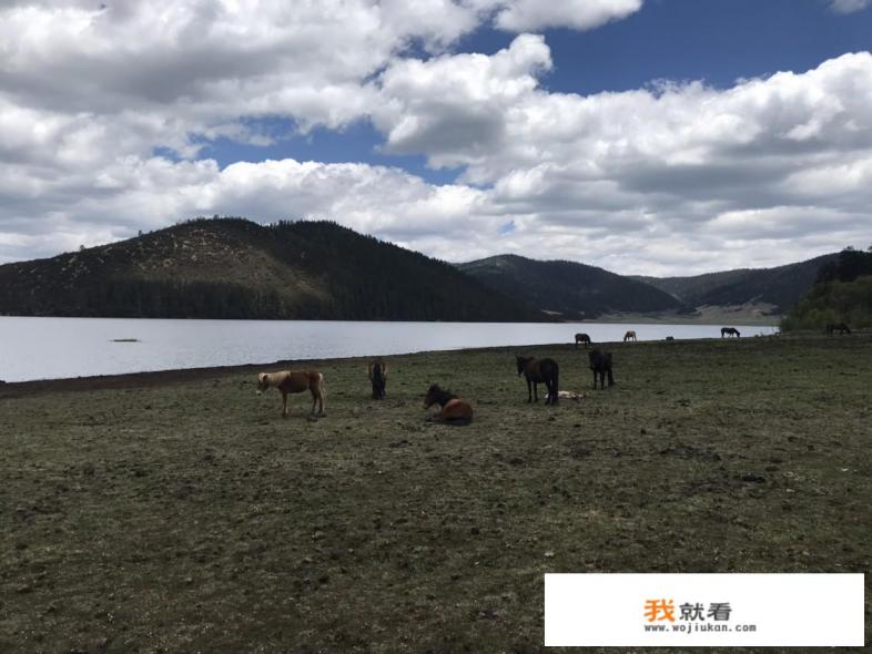 香格里拉的普达措国家公园适宜冬天游玩吗? 香格里拉的普达措国家公园适宜冬天游玩吗?