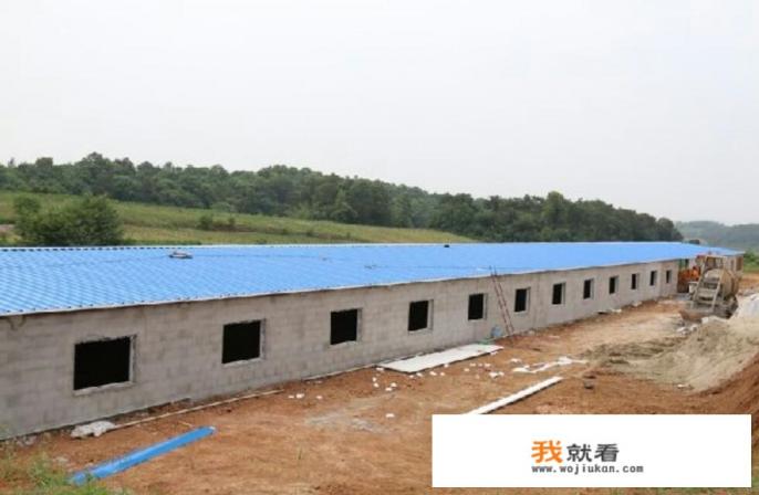 想在农村办个100只的养鸡场，大约需要投资多少钱？