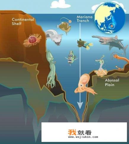 海底一万米到底有多恐怖？