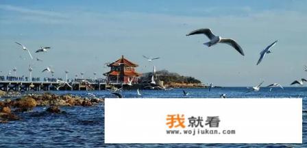 济源小羊湖不能开车进去吗？