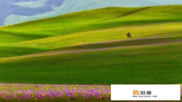 “空中花园”是真的存在的吗? “空中花园”是真的存在的吗?