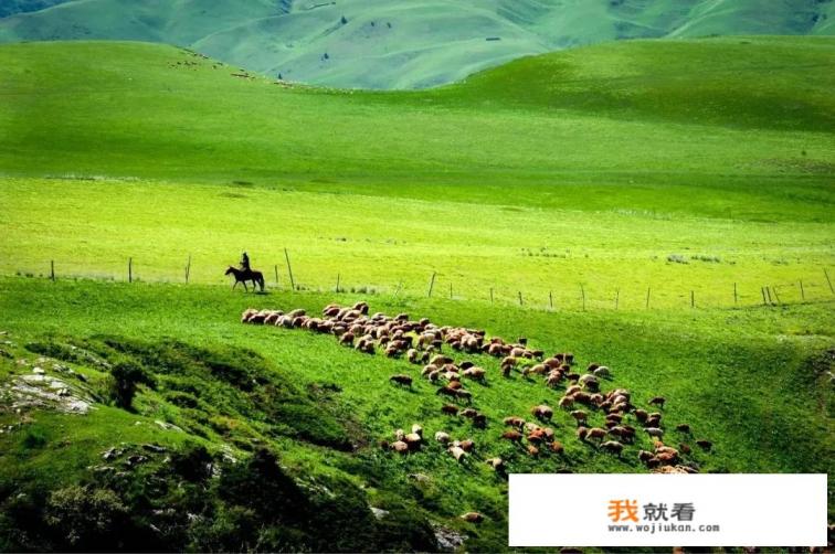 “空中花园”是真的存在的吗? “空中花园”是真的存在的吗?