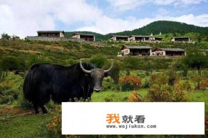 云南5日游攻略? 云南5日游攻略?