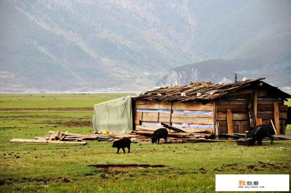 云南5日游攻略? 云南5日游攻略?