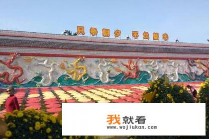 郑州园博园人多吗？