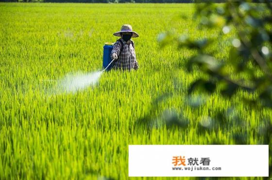 8月和8月份一样吗? 8月和8月份一样吗?