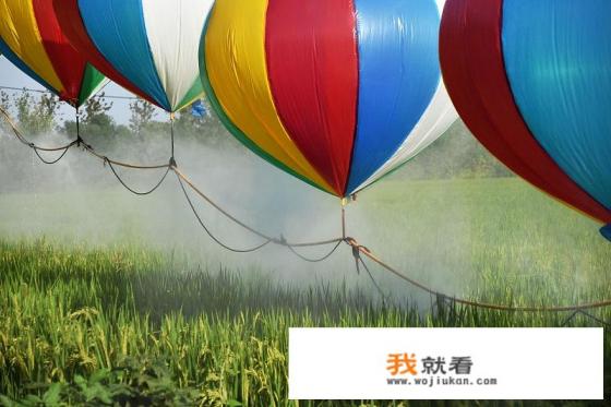 8月和8月份一样吗? 8月和8月份一样吗?