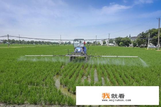 8月和8月份一样吗? 8月和8月份一样吗?