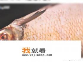 家常红烧鳊鱼的做法? 家常红烧鳊鱼的做法?