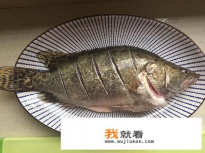 清蒸桂鱼怎么做法？