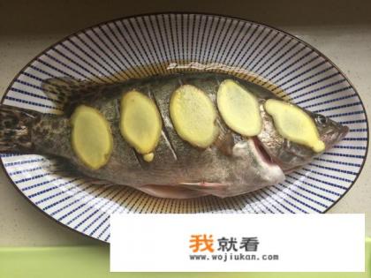 清蒸桂鱼怎么做法？