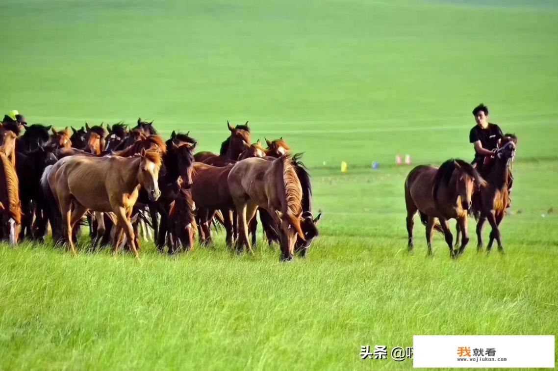 海拉尔,额尔古纳,根河,室韦,黑山头,满洲里,阿尔山,这一圈,酒店有什么推荐吗? 海拉尔,额尔古纳,根河,室韦,黑山头,满洲里,阿尔山,这一圈,酒店有什么推荐吗?