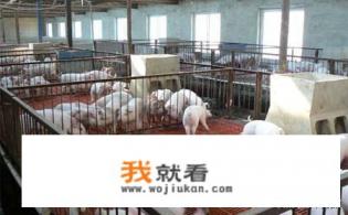 农民有特殊工种怎么办退休? 农民有特殊工种怎么办退休?