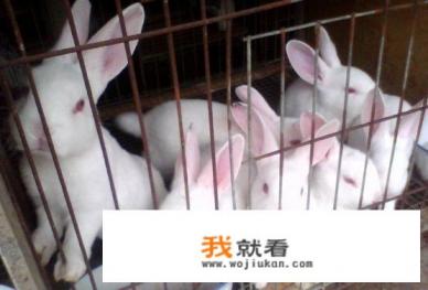 农民有特殊工种怎么办退休? 农民有特殊工种怎么办退休?